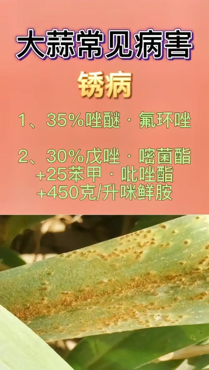 石蒜防治病虫害的方法有哪些?
