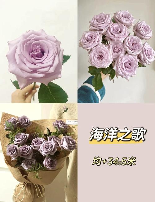 [玫瑰花的花期]玫瑰花什么时候开花
