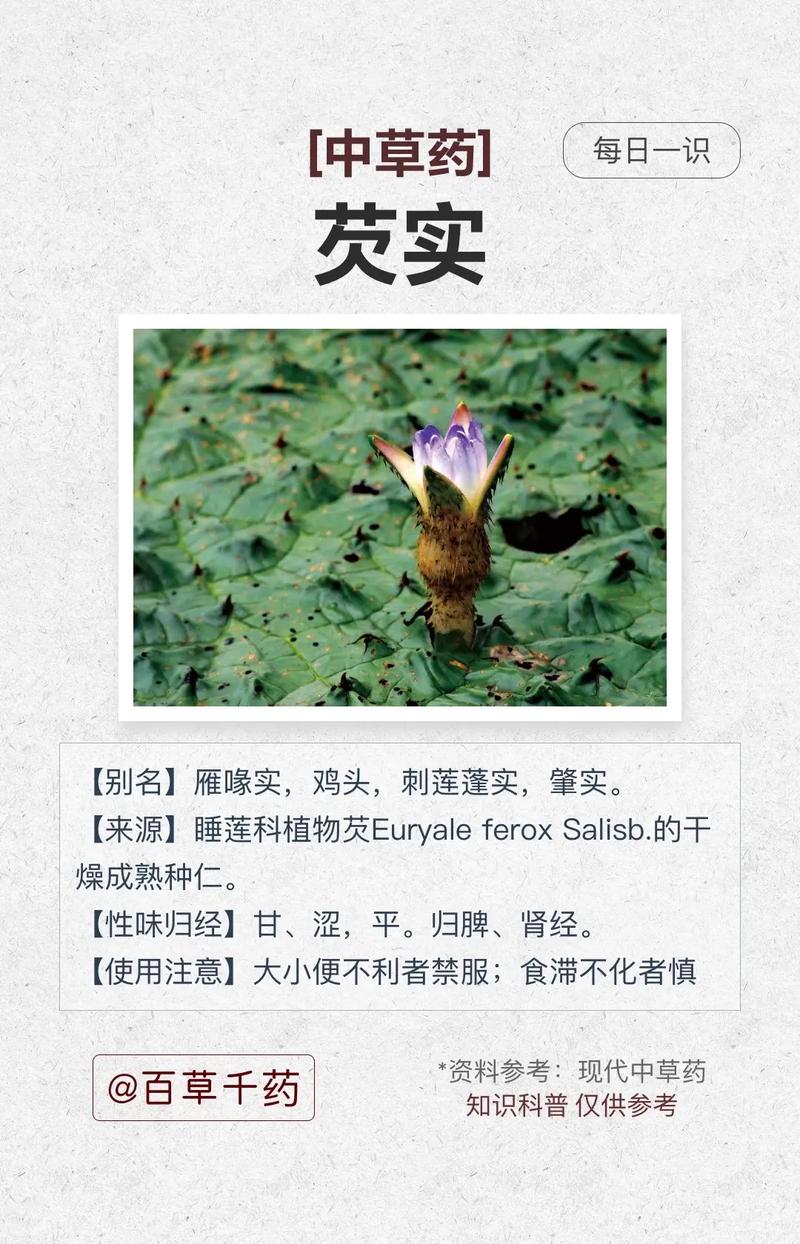芡实的功效及食用方法