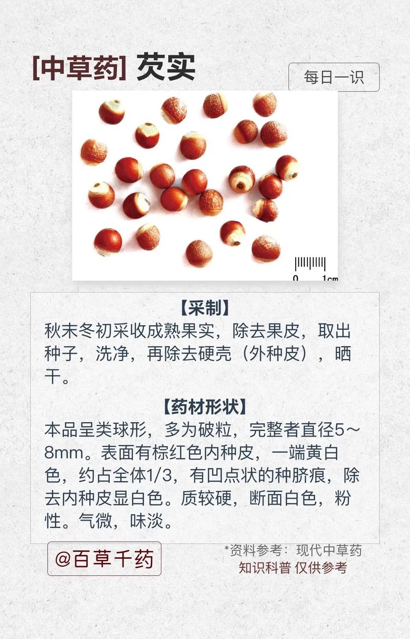芡实的功效与作用