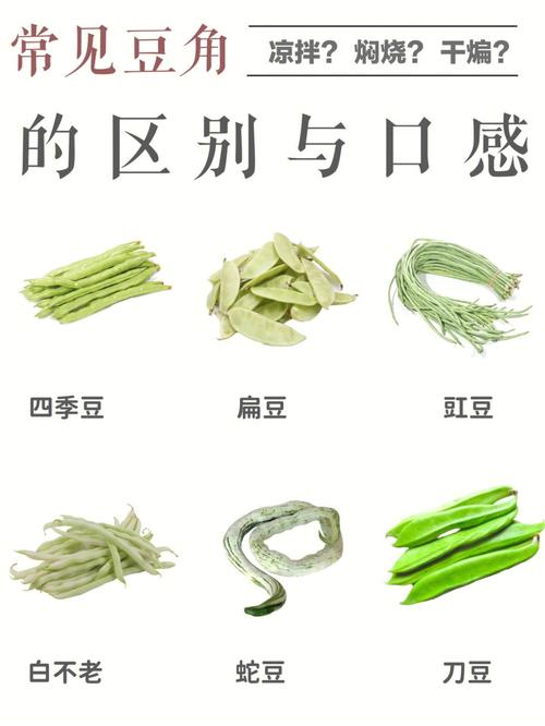 四季豆和刀豆的区别