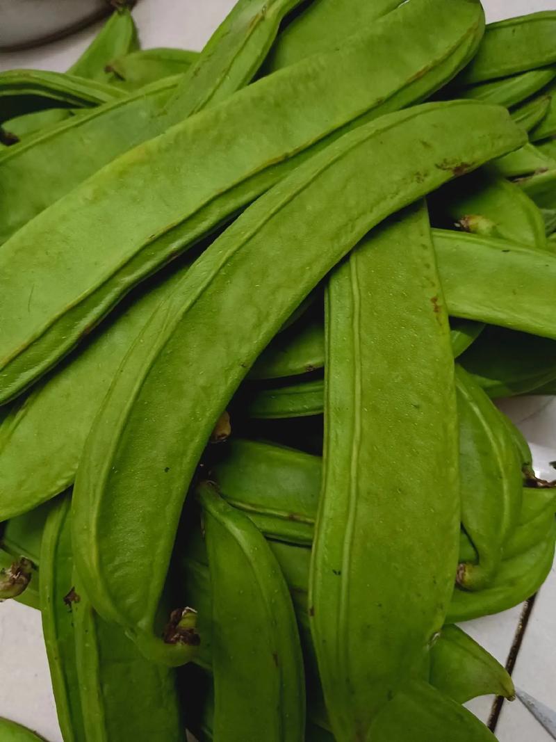 刀豆和四季豆一样吗