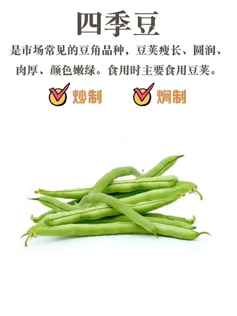 刀豆与四季豆的区别