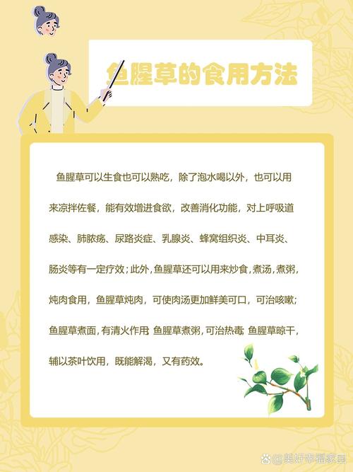 鱼腥草育种方法