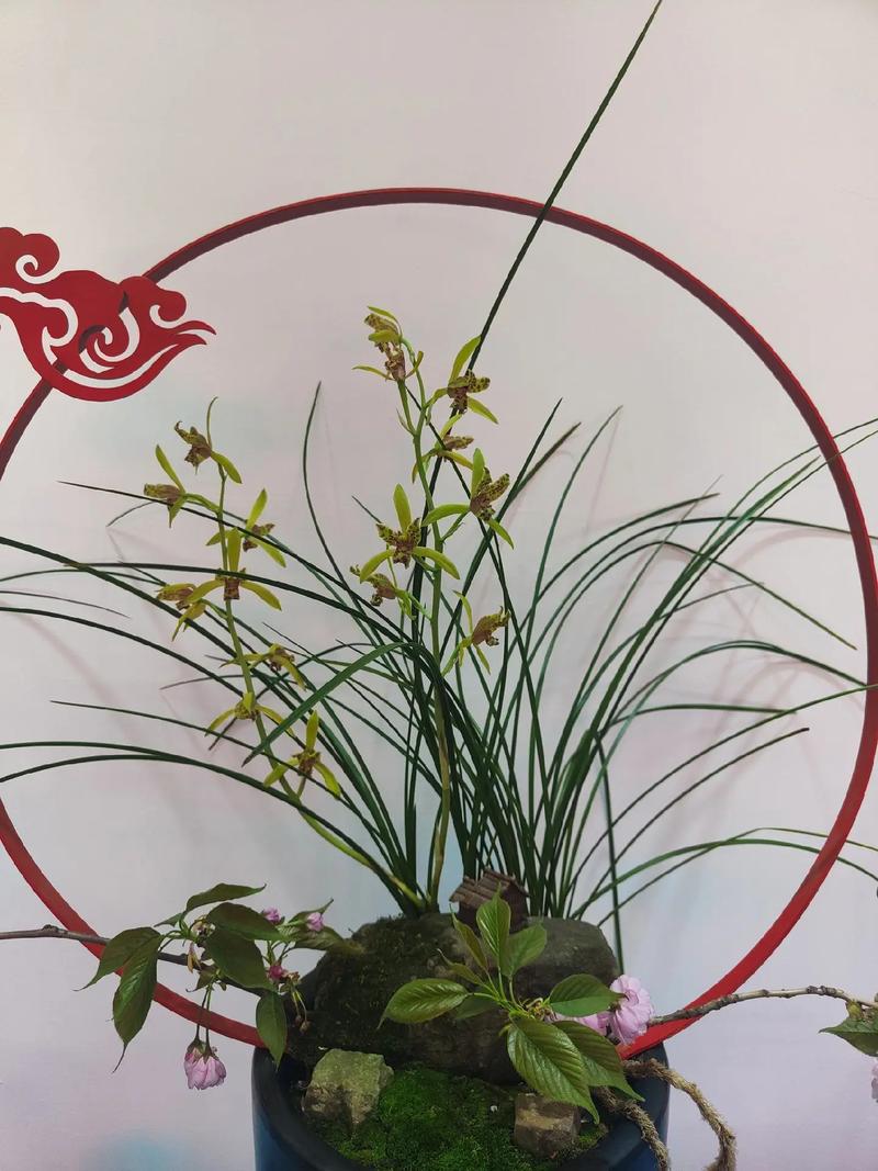 兰的寓意