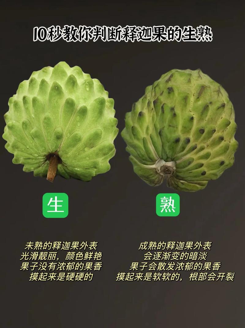 释迦果的功效与作用
