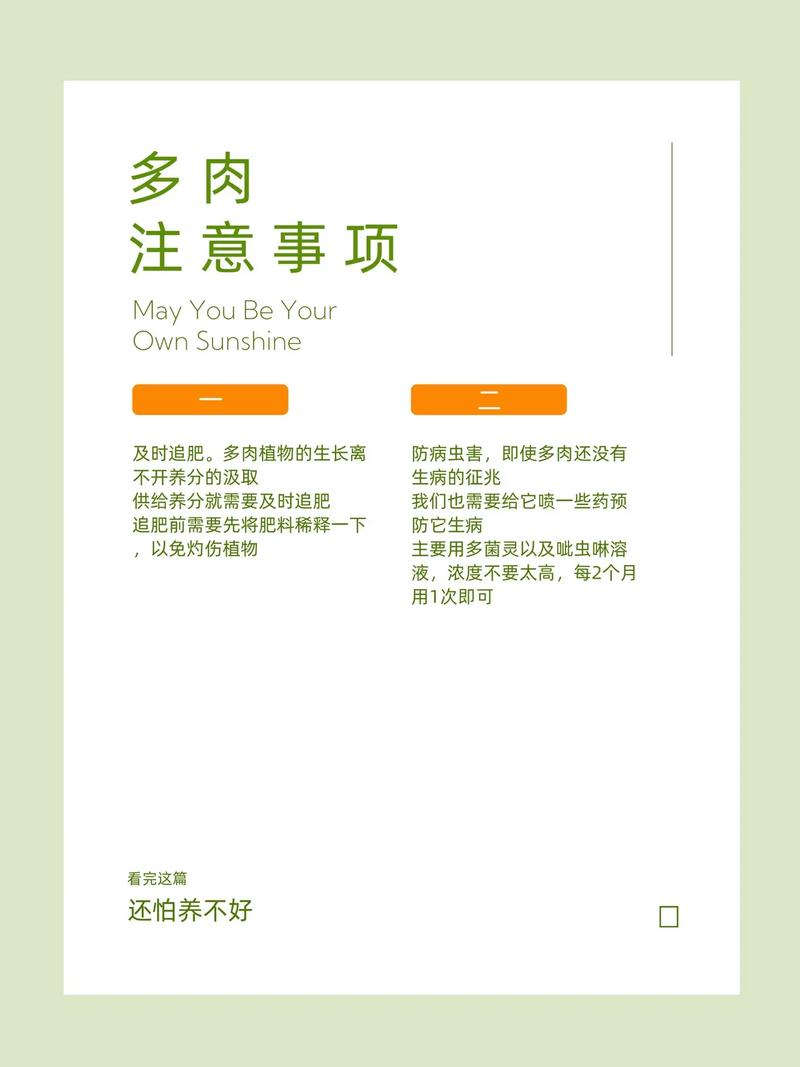 肉肉花怎么养才能爆盆