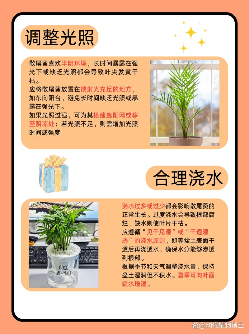 散尾葵的叶子干枯发黄怎么办?