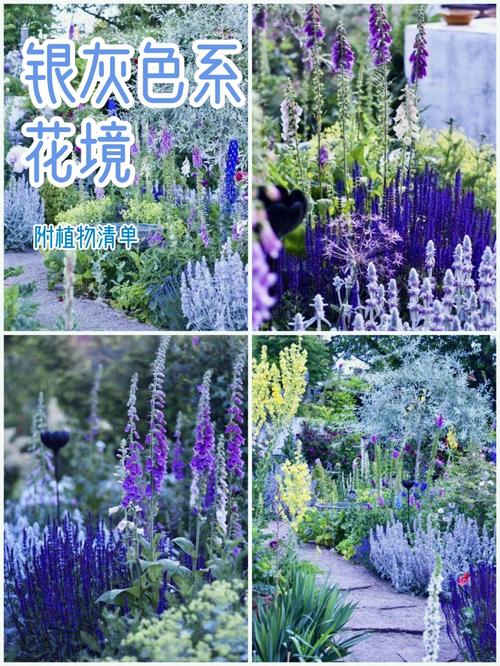 橄榄花期管理方法及要点