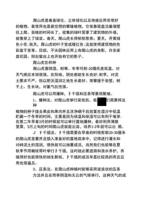 爬山虎如何种,如何种爬山虎长得快