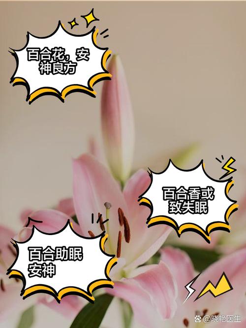 百合花有什么危害?
