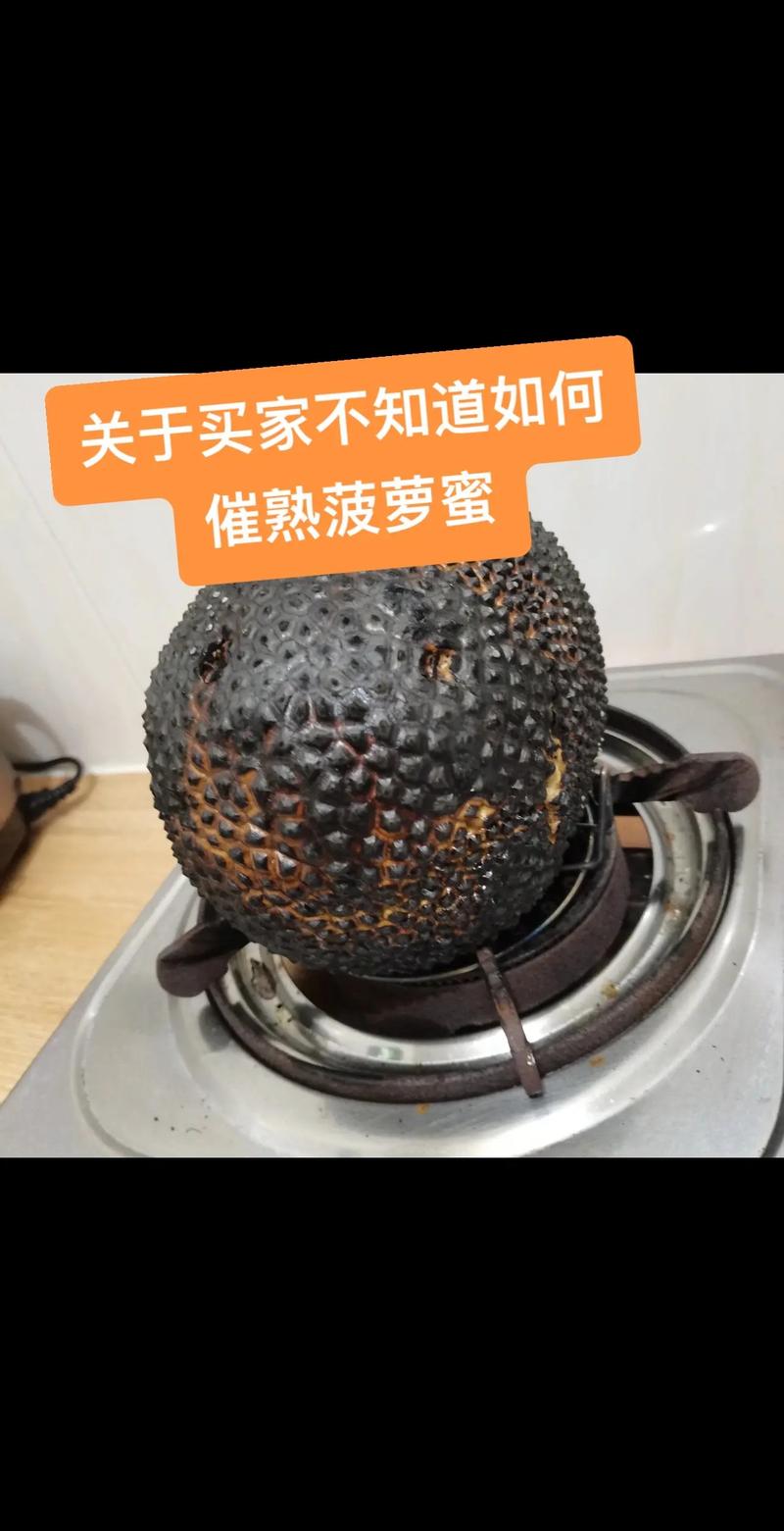 菠萝蜜买回来没熟怎么办如何催熟菠萝蜜
