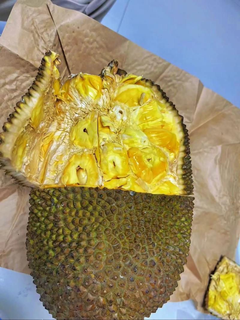 菠萝蜜摘下来没熟要怎样才会熟