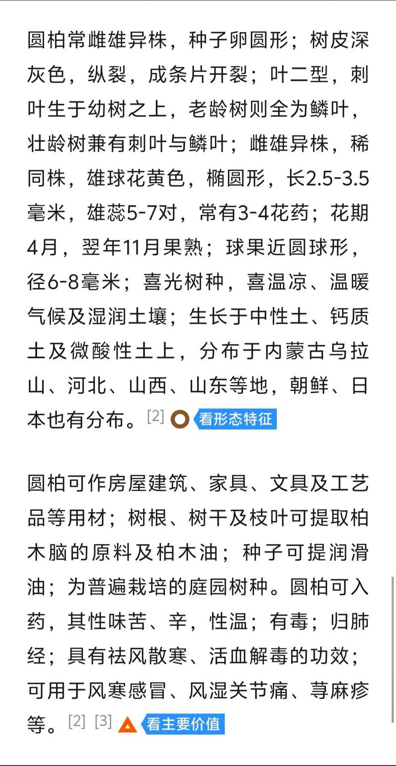 圆柏的养殖方法及注意事项