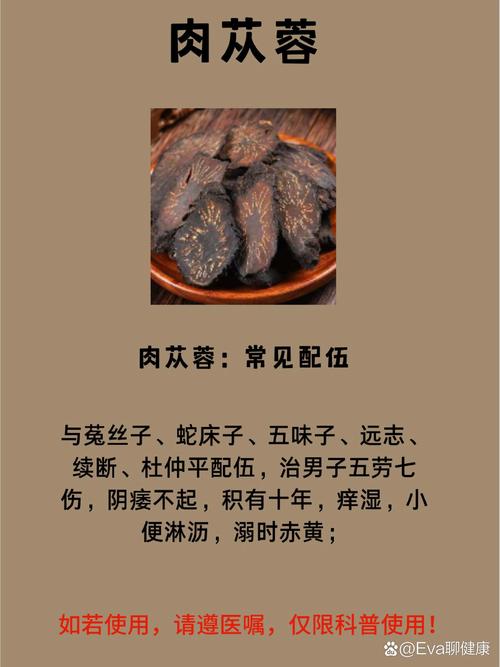 哪里产的肉苁蓉比较好?