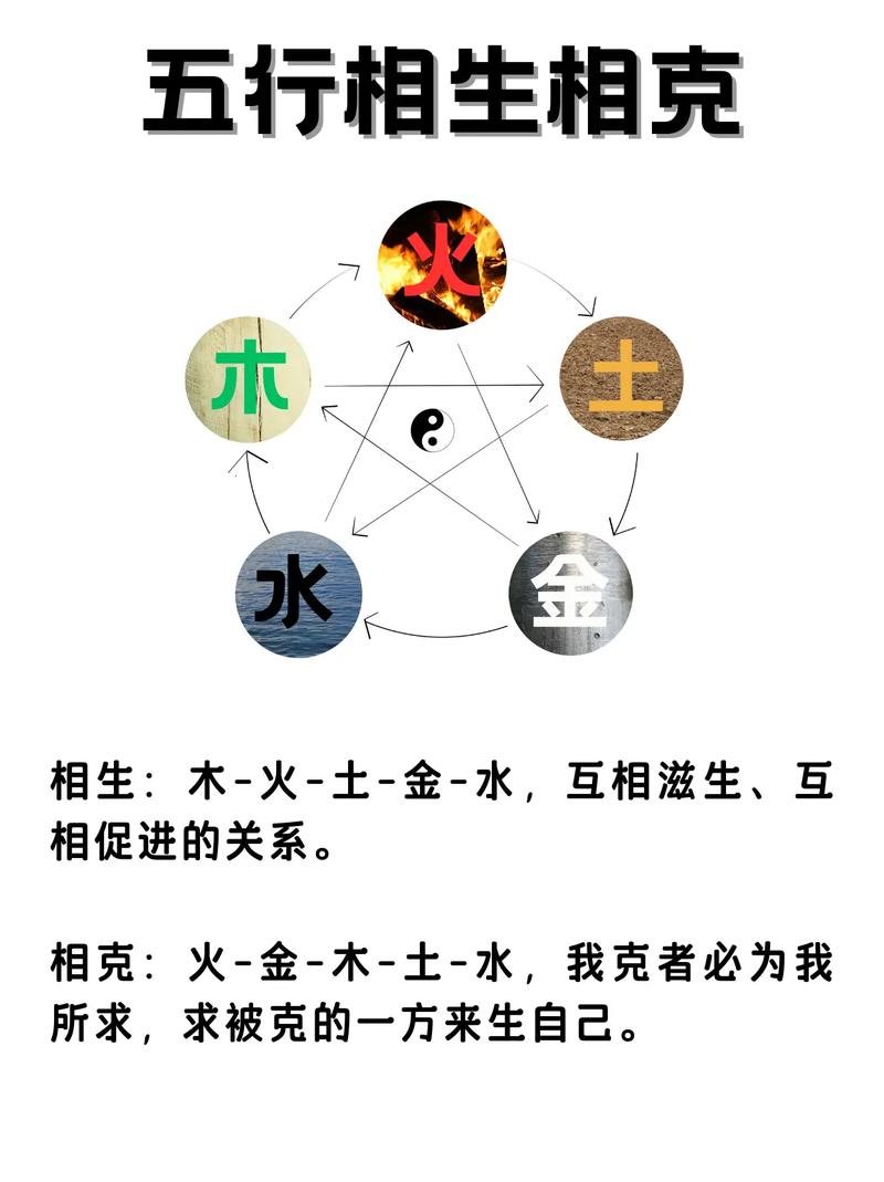 根据五行选植物,给你增添好运