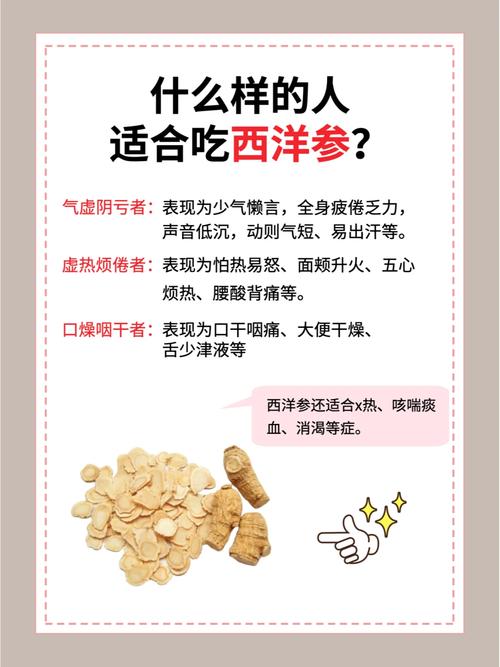 西洋参适合什么样的人群服用