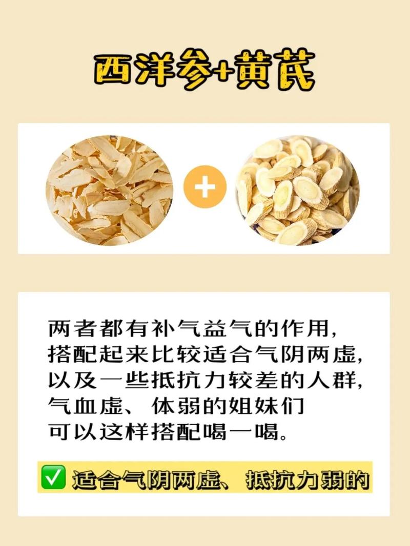 西洋参适合什么样的人群食用