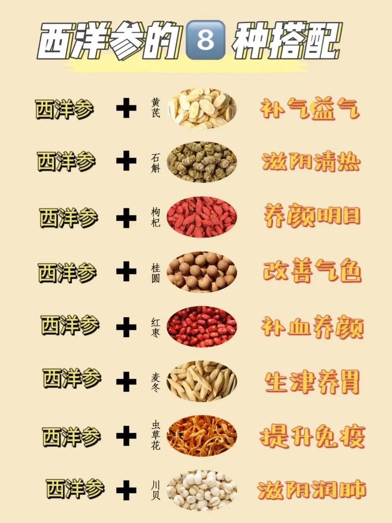 西洋参适合什么人吃