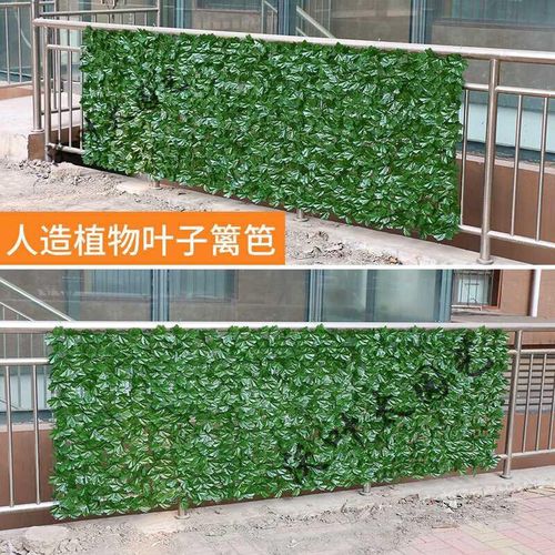 绿萝长的新叶子都卷了是怎么回事?