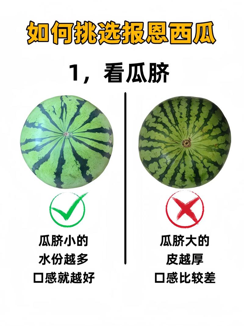 怎么挑选西瓜(如何挑选西瓜)