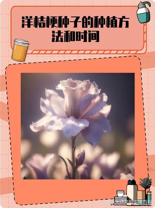 洋桔梗的虫害及防治方法