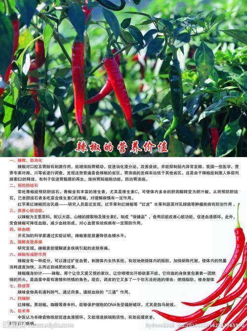 小红椒的功效与作用