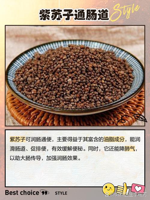 紫苏子的功效与作用及禁忌