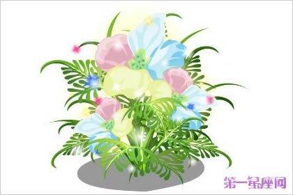 依米花的花语是什么