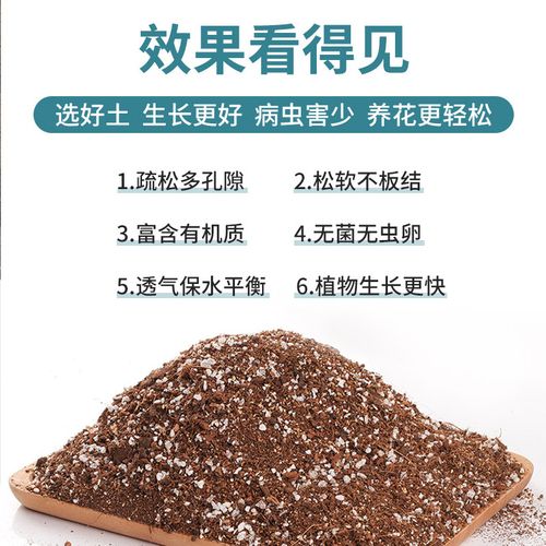 茉莉用什么土栽培比较好