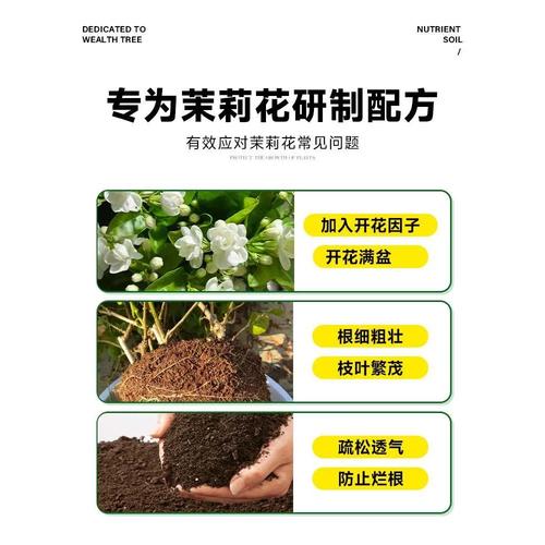 茉莉花的养殖用什么土