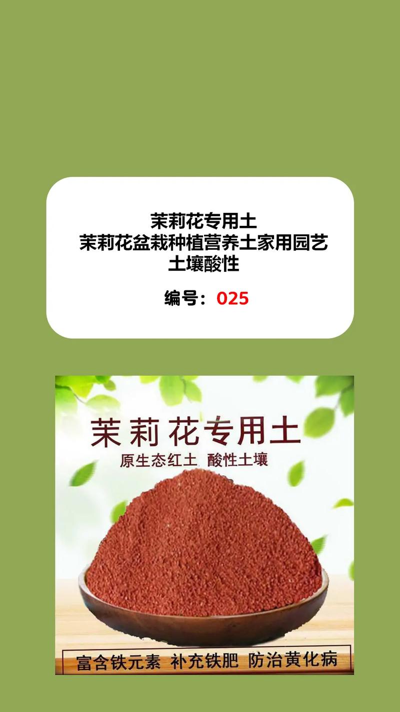 茉莉花用什么土壤