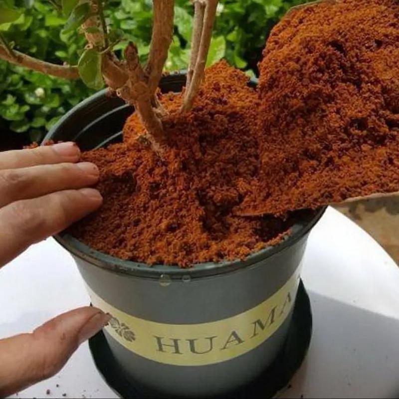 茉莉花用啥土比较好