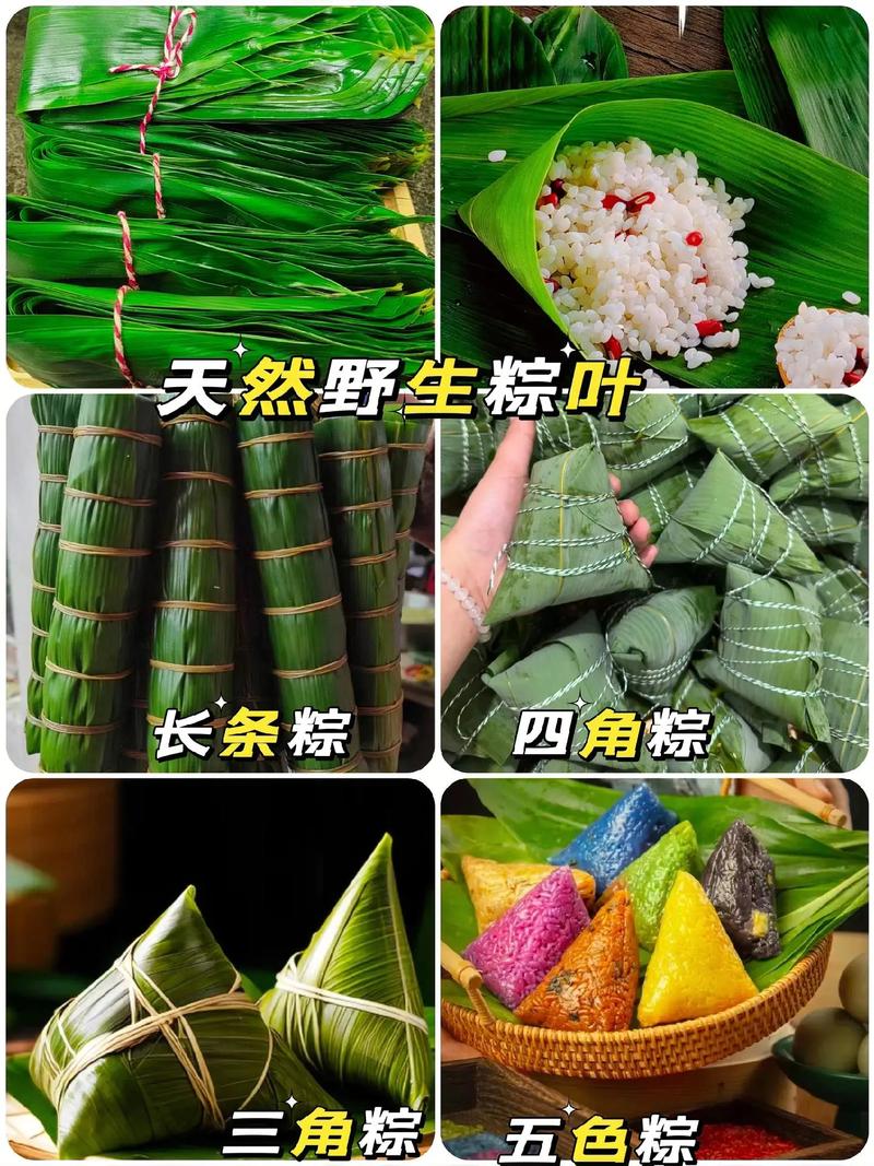 平时包粽子的叶子叫什么呢?
