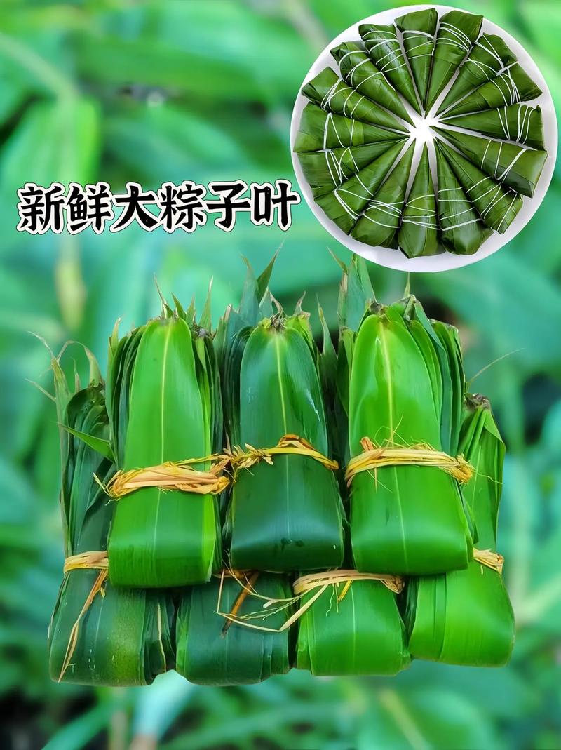 包粽子的叶子叫什么?