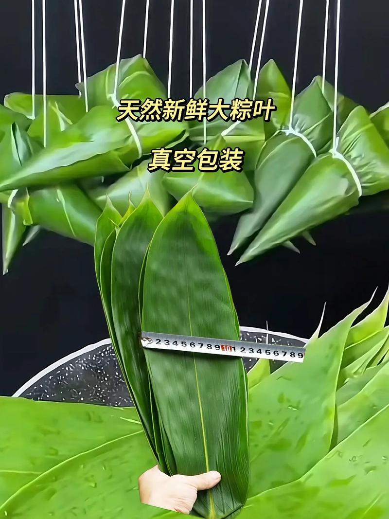 包粽子的粽叶是什么叶