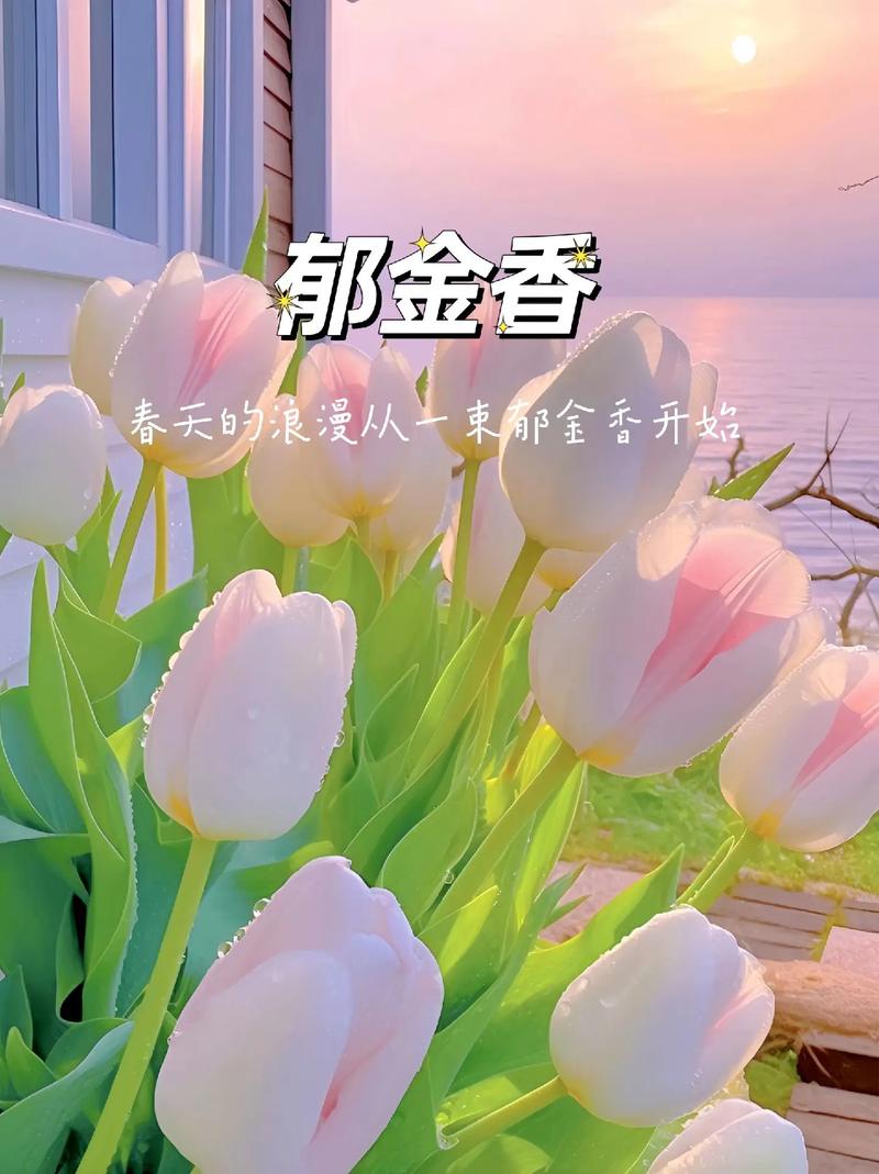 各色郁金香花语是?