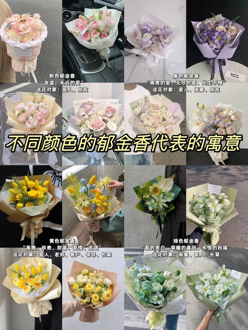不同颜色的郁金香代表的含义是什么