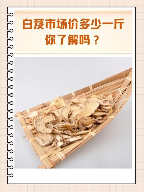 白芨种植多少一斤