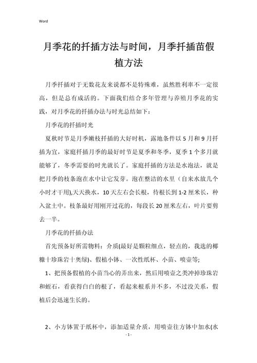 月季插扦方法及时间