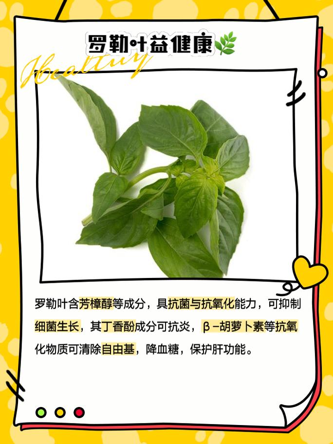 什么季节适合栽培罗勒,罗勒种植和护理的方法有哪些