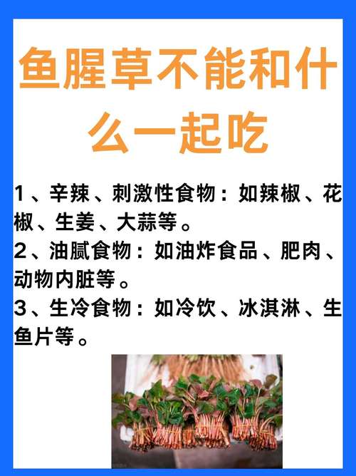 鱼腥草可以吃几天吃鱼腥草要注意什么?