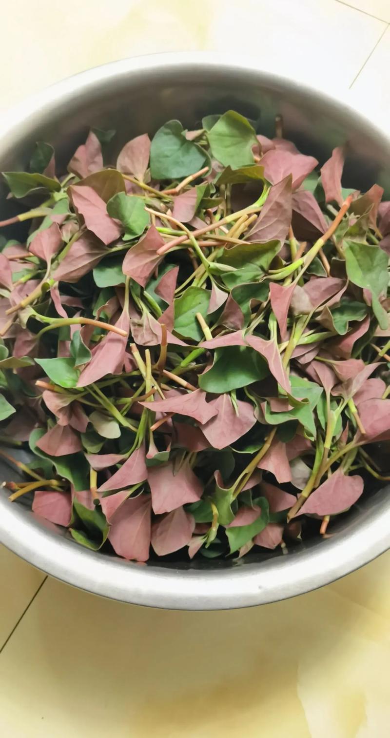鱼腥草可以吃几天,吃鱼腥草要注意什么