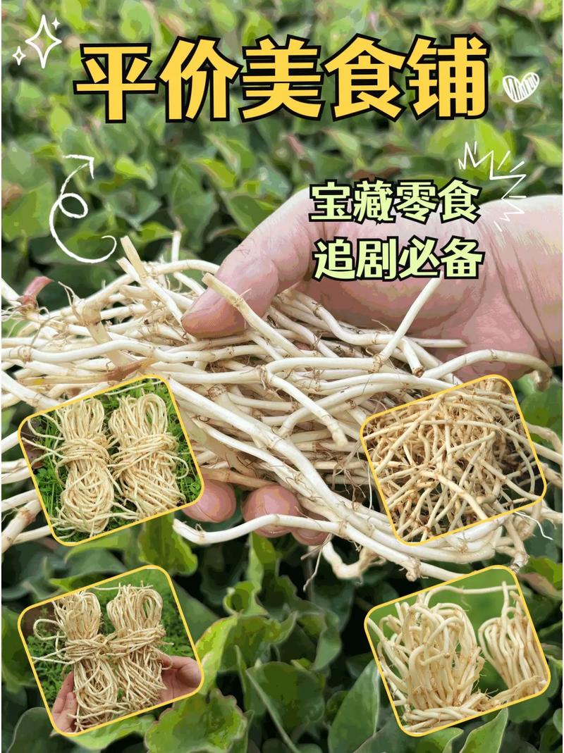鱼腥草的禁忌