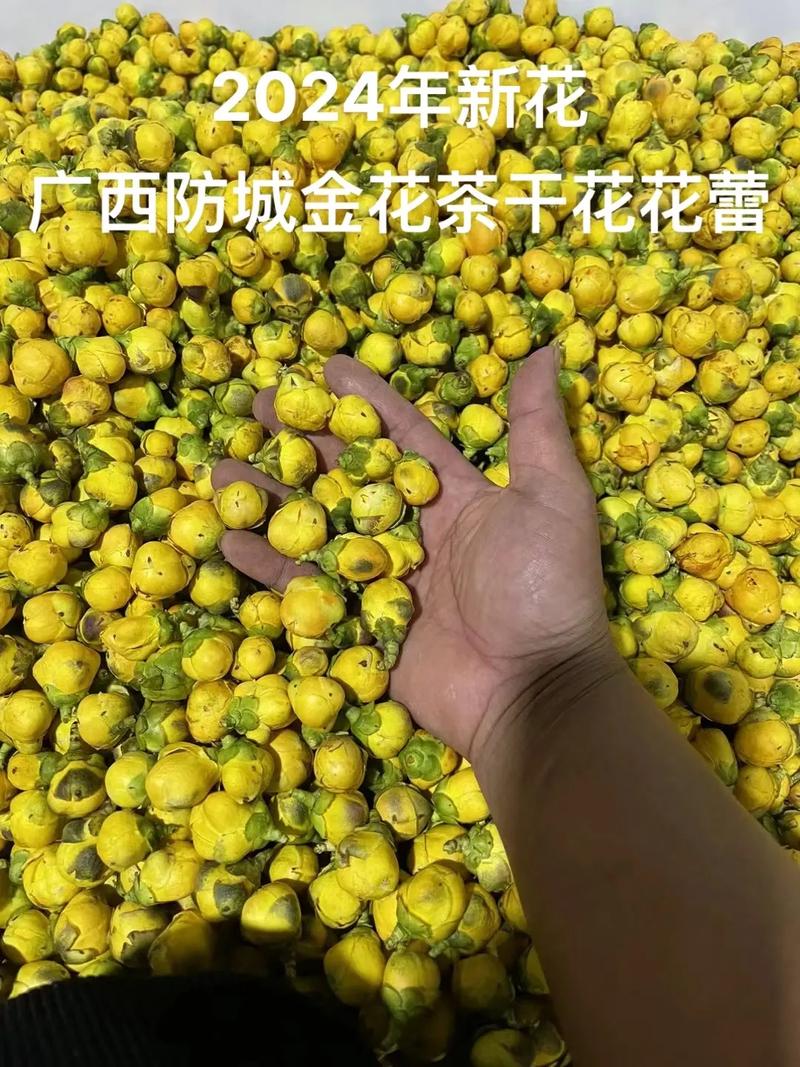 刚买的四季海棠有干花掉花蕾能叶面喷水吗