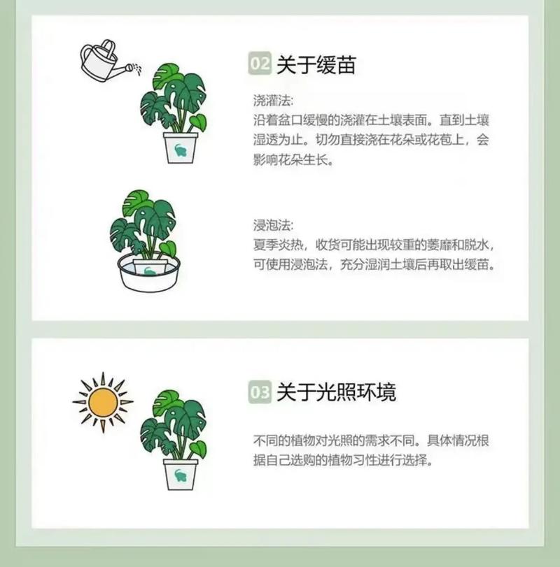 怎样养金钱蒲