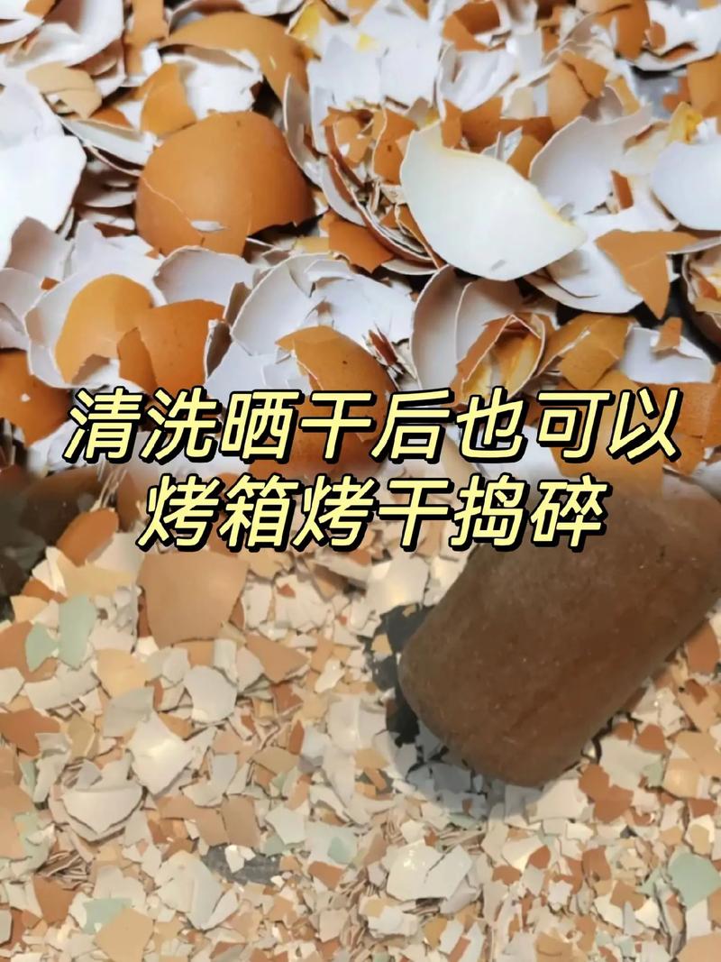 什么花喜欢鸡蛋壳肥料