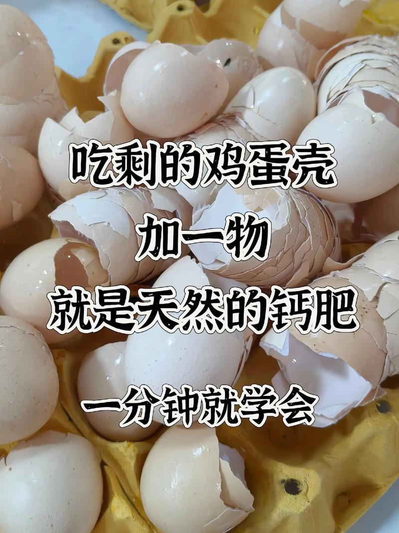 鸡蛋壳如何制作花肥