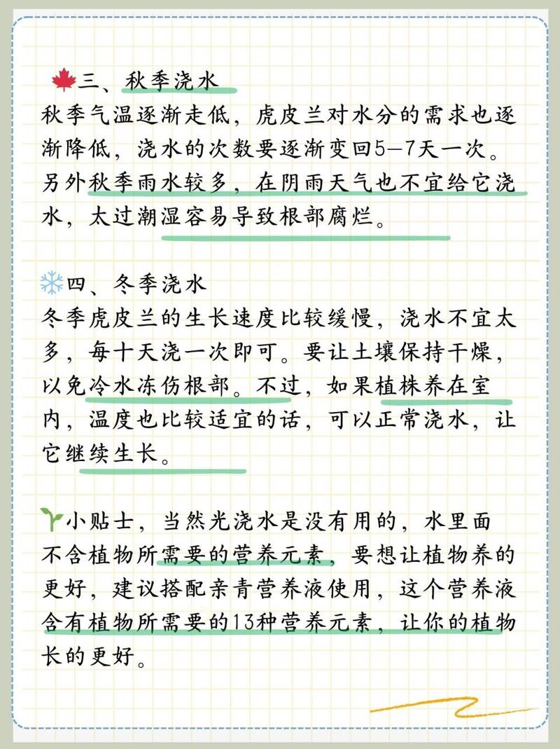 虎皮兰的浇水注意事项
