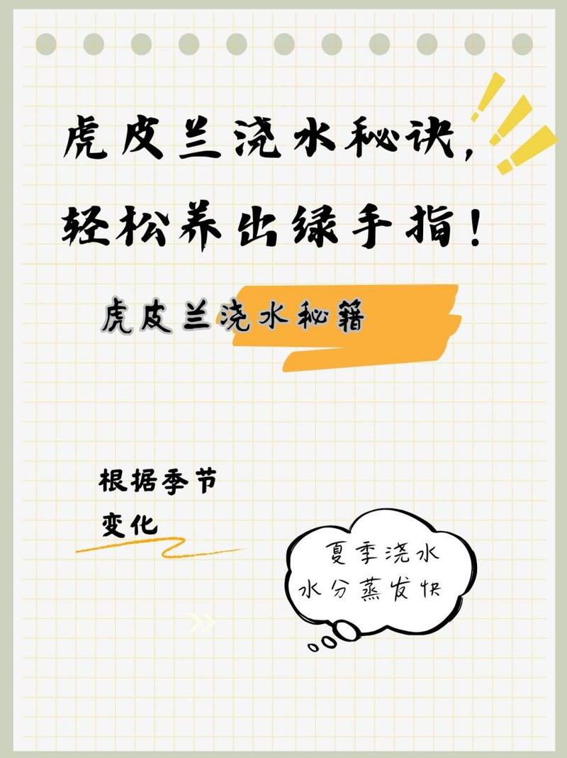虎皮兰浇水时间和正确方法